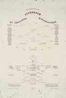 Modello di testo per l’albero genealogico della Confederazione svizzera