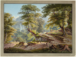 Forêt proche de Meiringen; à l'arrière-plan les chutes de Reichenbach
