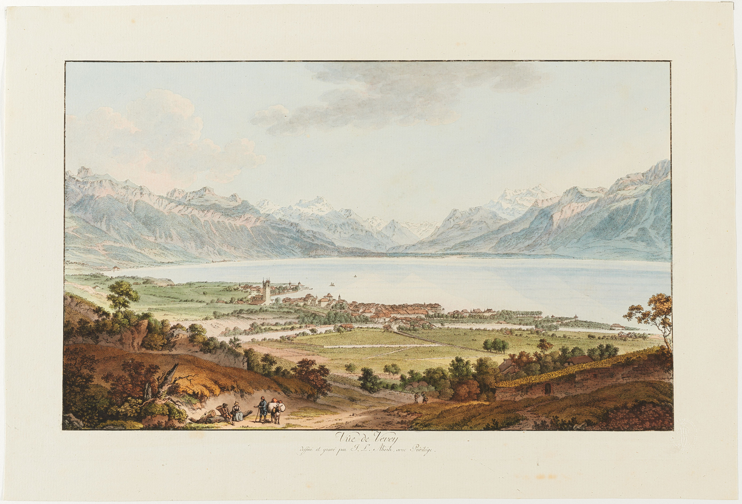 Vevey, Gesamtansicht von Norden mit Genfersee