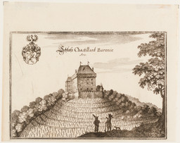 Blick auf den Weinberg und das Schloss Châtelard