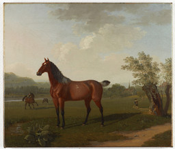 Landschaft mit Pferden