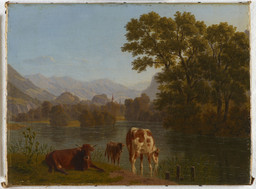 Kühe an der Aare bei Interlaken